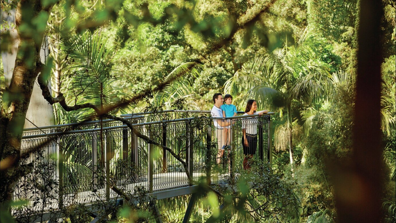 Tamborine Mountain