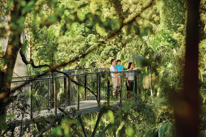 Tamborine Mountain