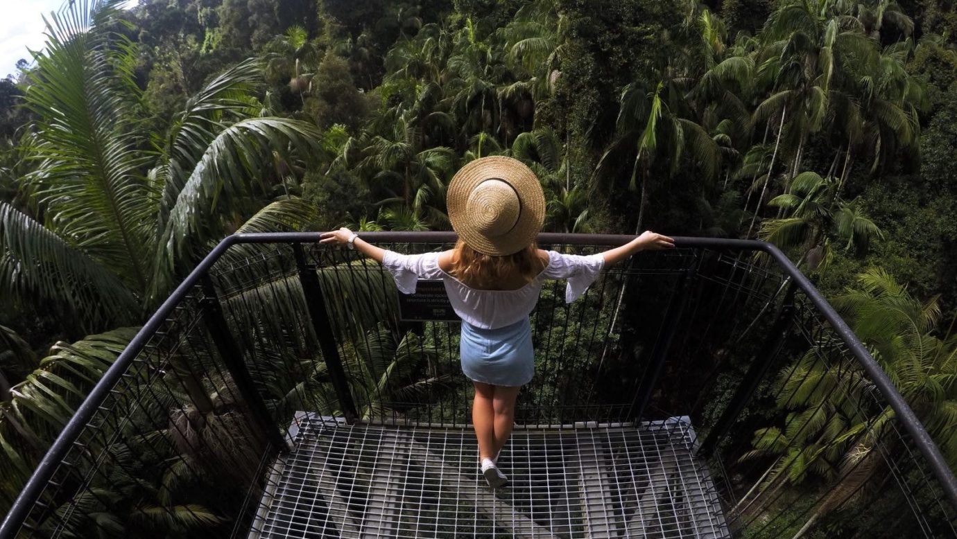 Skywalk Mount Tamborine