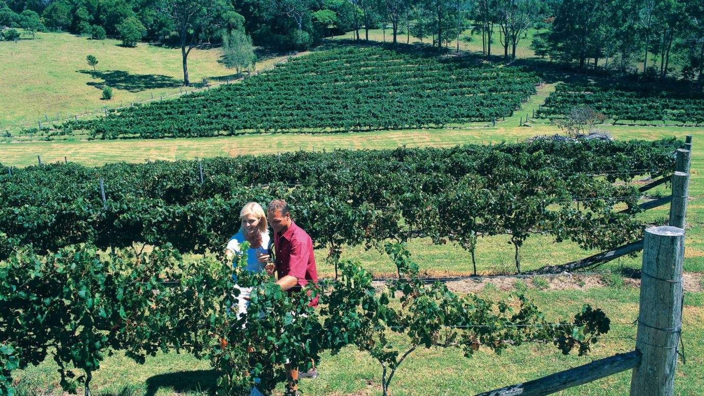 Tamborine Mountain