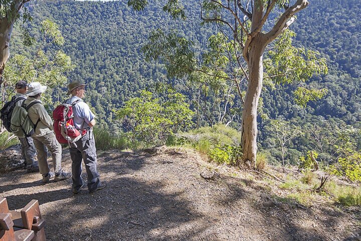 3 walkers at views of forested slopes of Coomera Valley.
