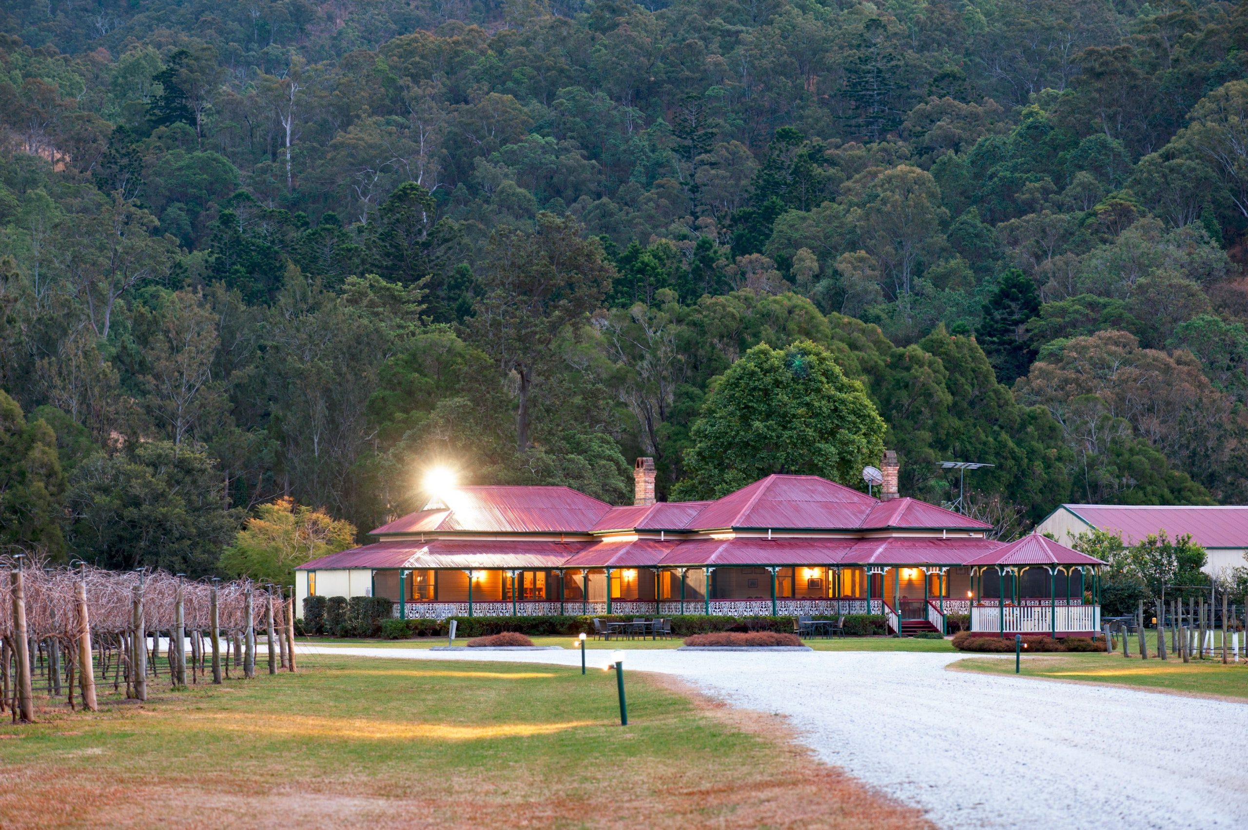 Vineyards, Homestead, Wineries, Wine