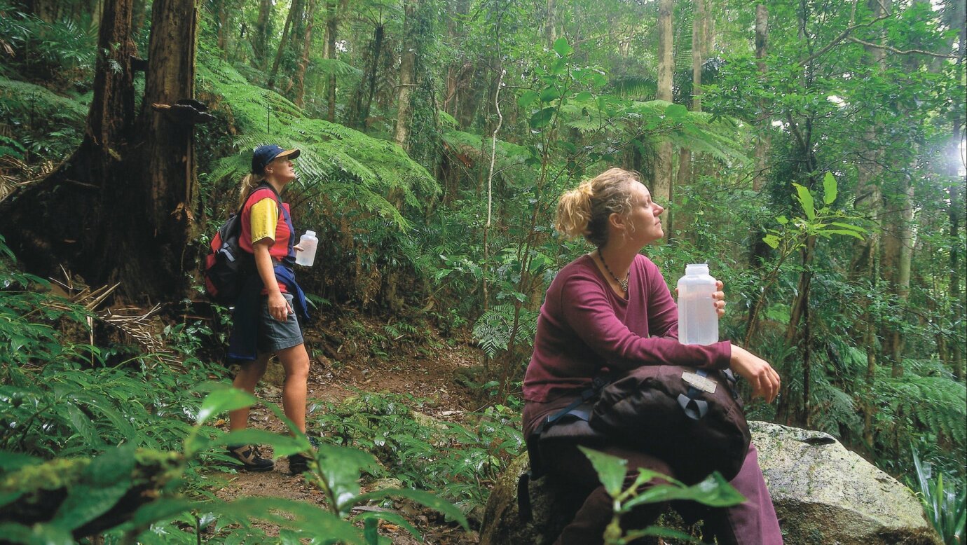 Two bushwalkers in raiforest, Binna Burra section<,Lamington National Park