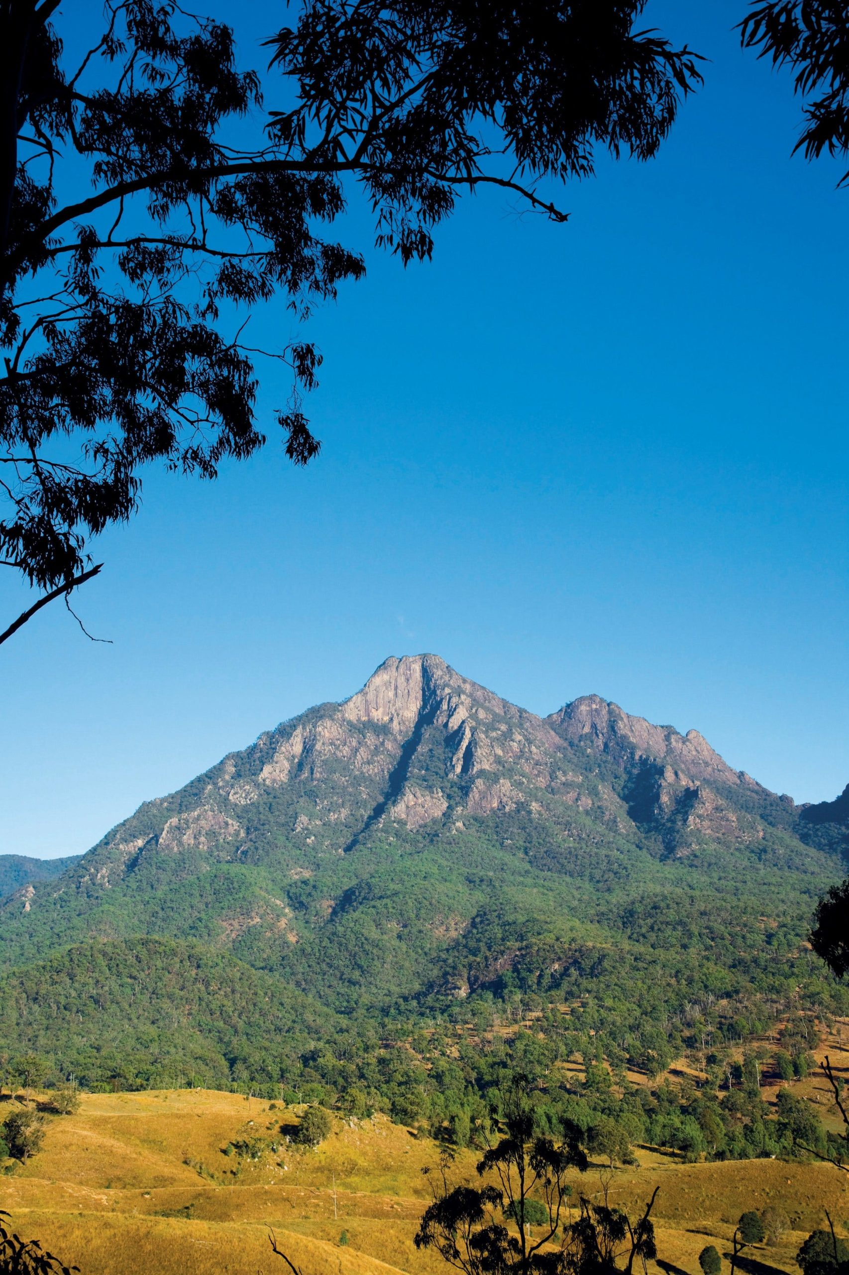 Mount Barney with farmland in foreground.