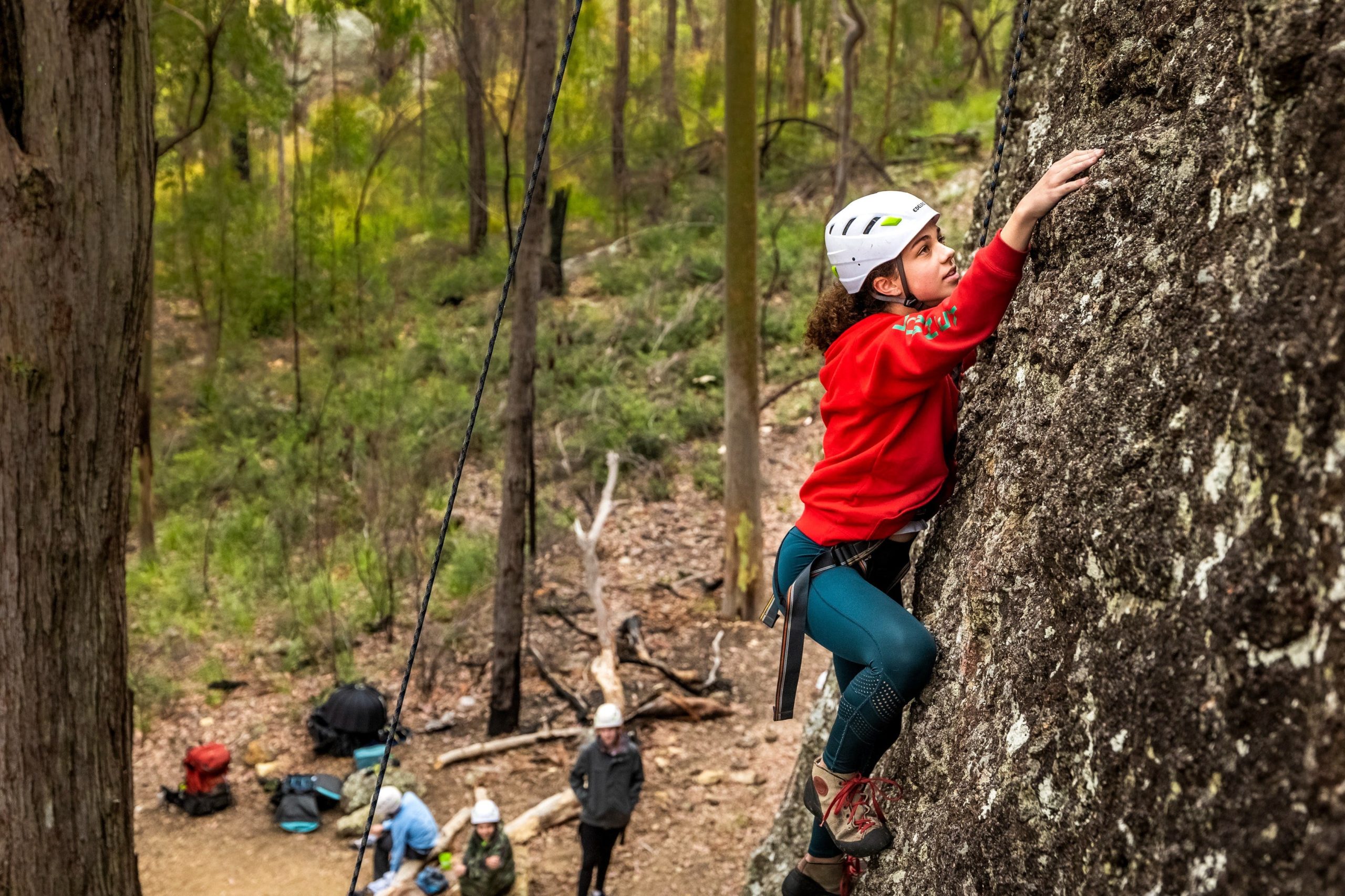 Climber at the Mt Barney Lodge beginner's rock climbing site.