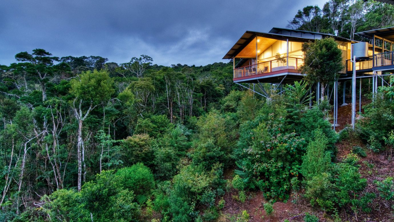 O'Reilly's Villas Rainforest View