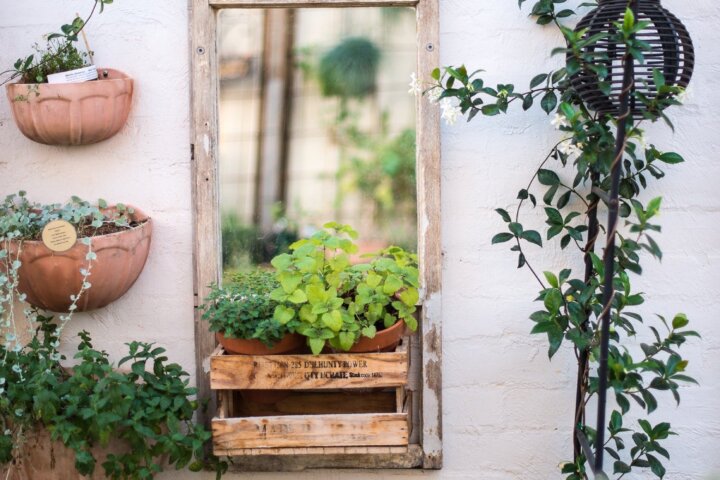 Window box planter