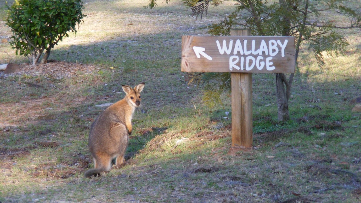 Bed and Breakfast at Wallaby Ridge