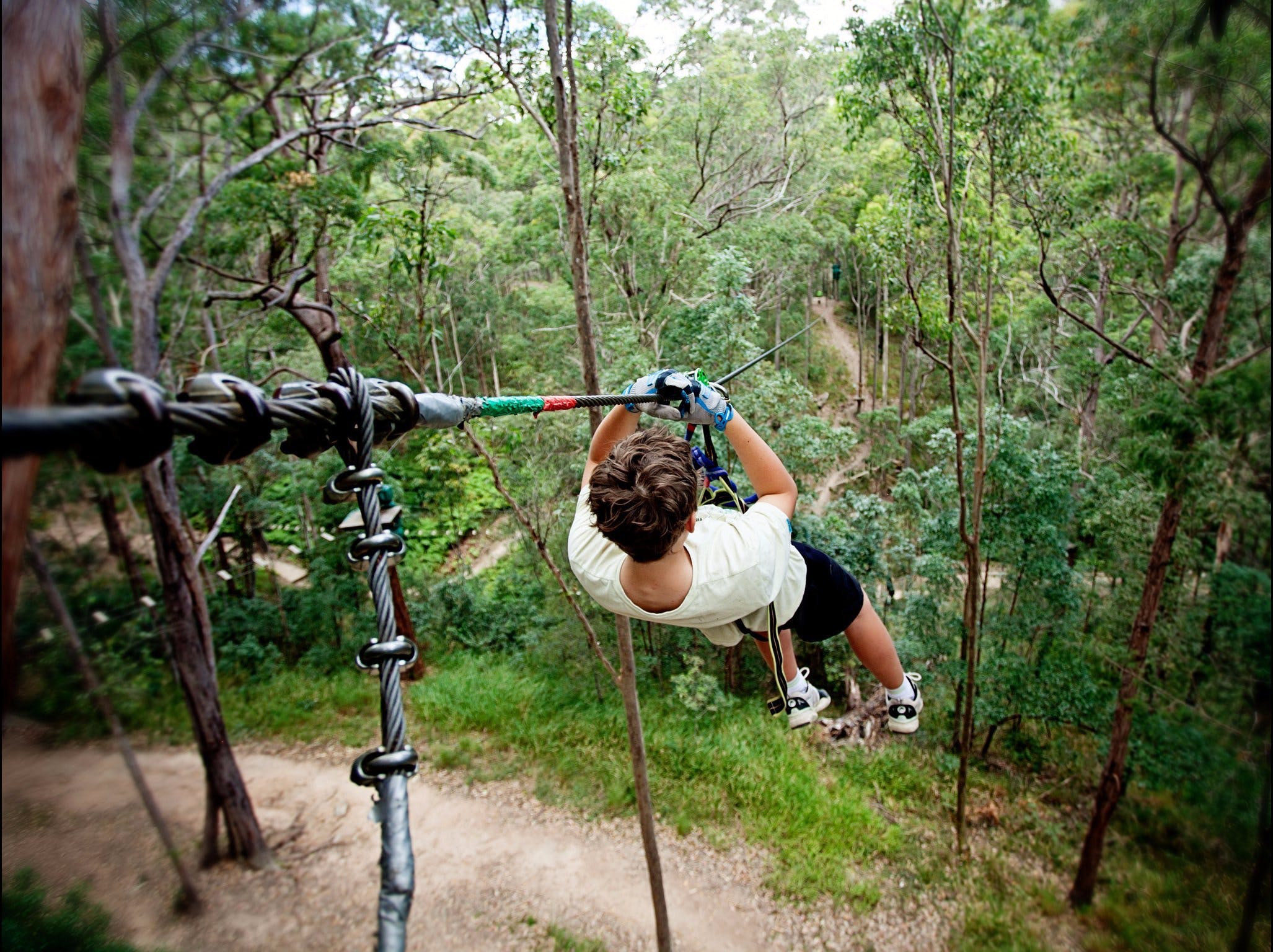 TreeTop Challenge Mt Tamborine Scenic Rim