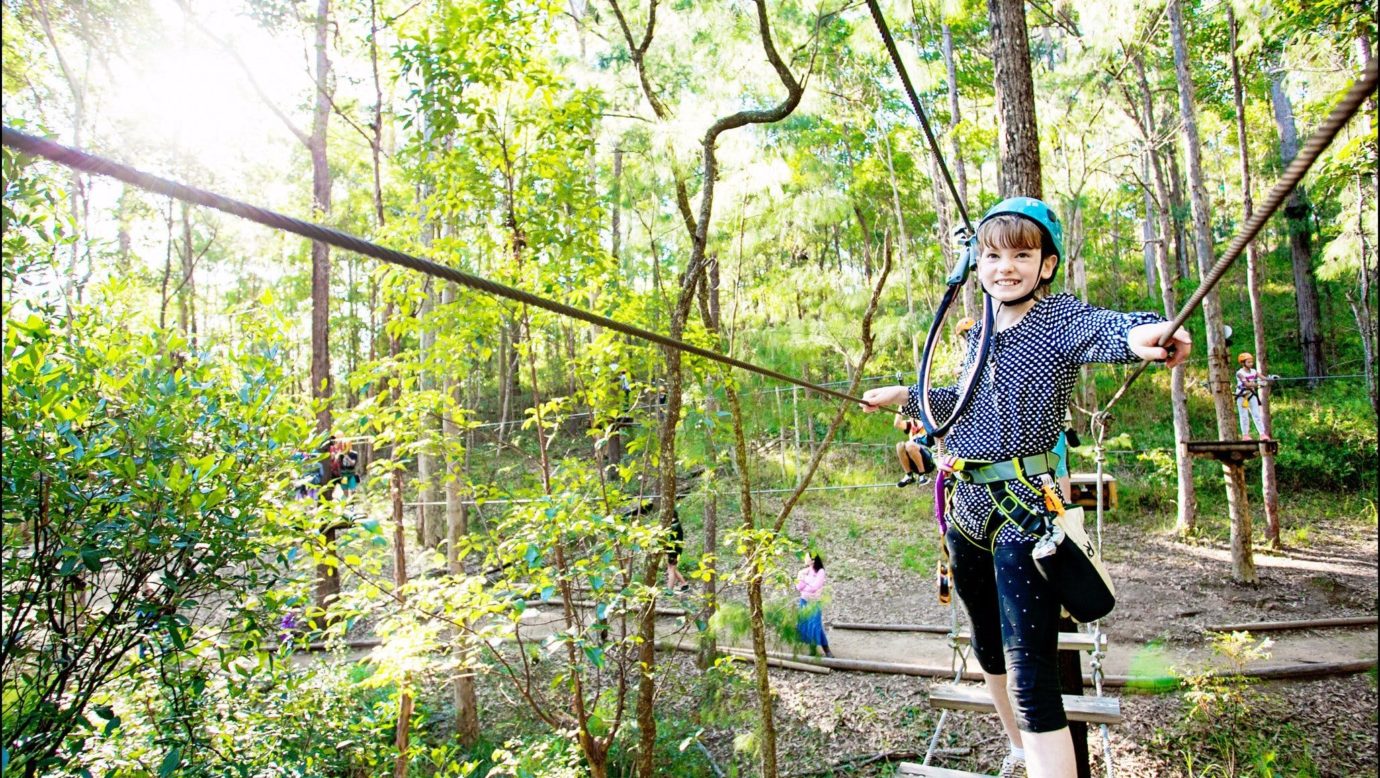 TreeTop Challenge Mt Tamborine Scenic Rim