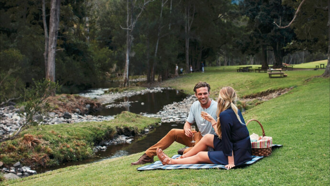 Picnic beside Canungra Creek