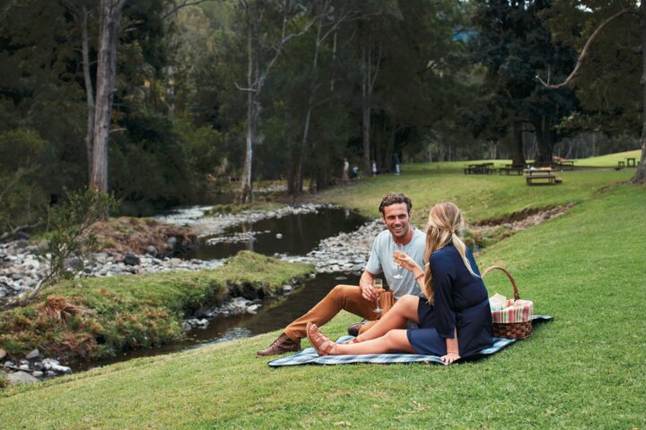 Picnic beside Canungra Creek