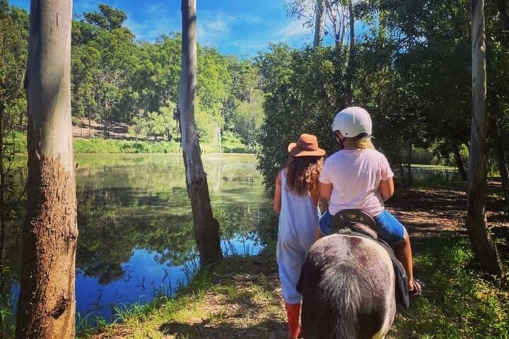 Lake Pony Ride