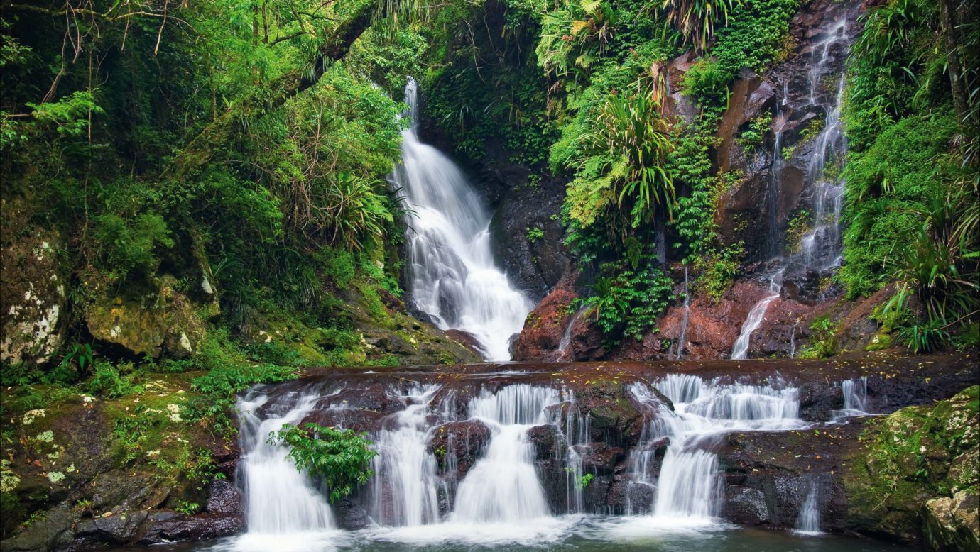 Waterfall in the rainforest