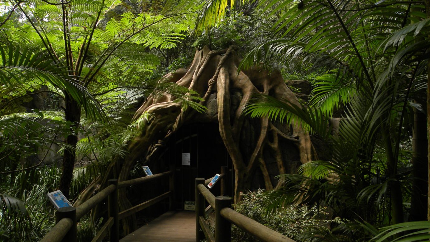 Cave Entrance