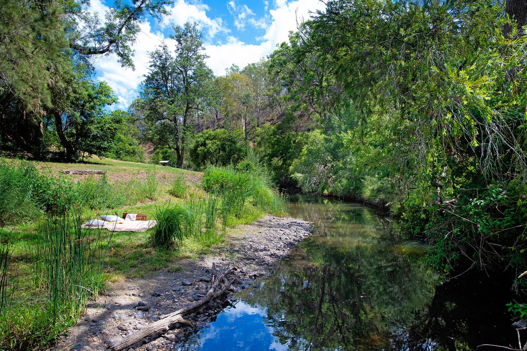 Waterhole