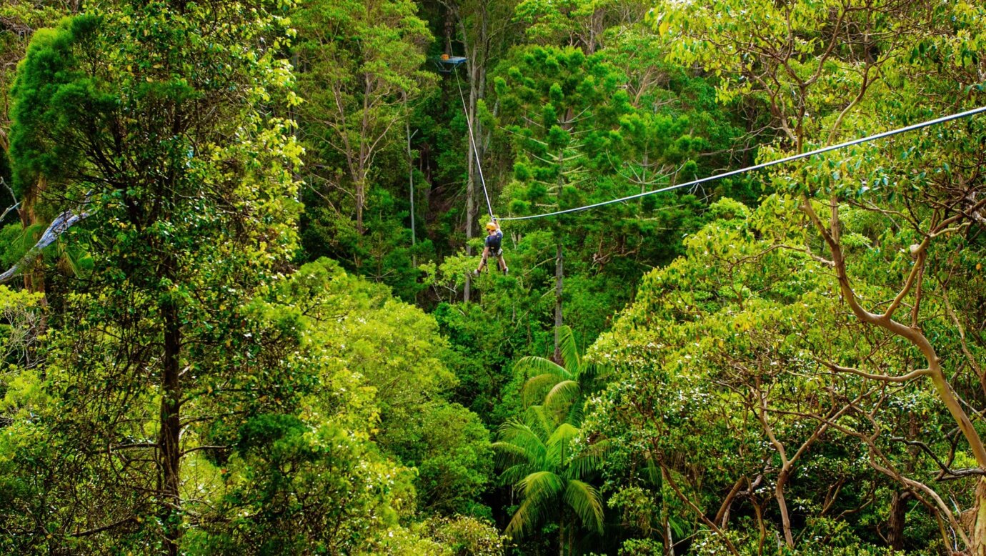 Zipline Tour