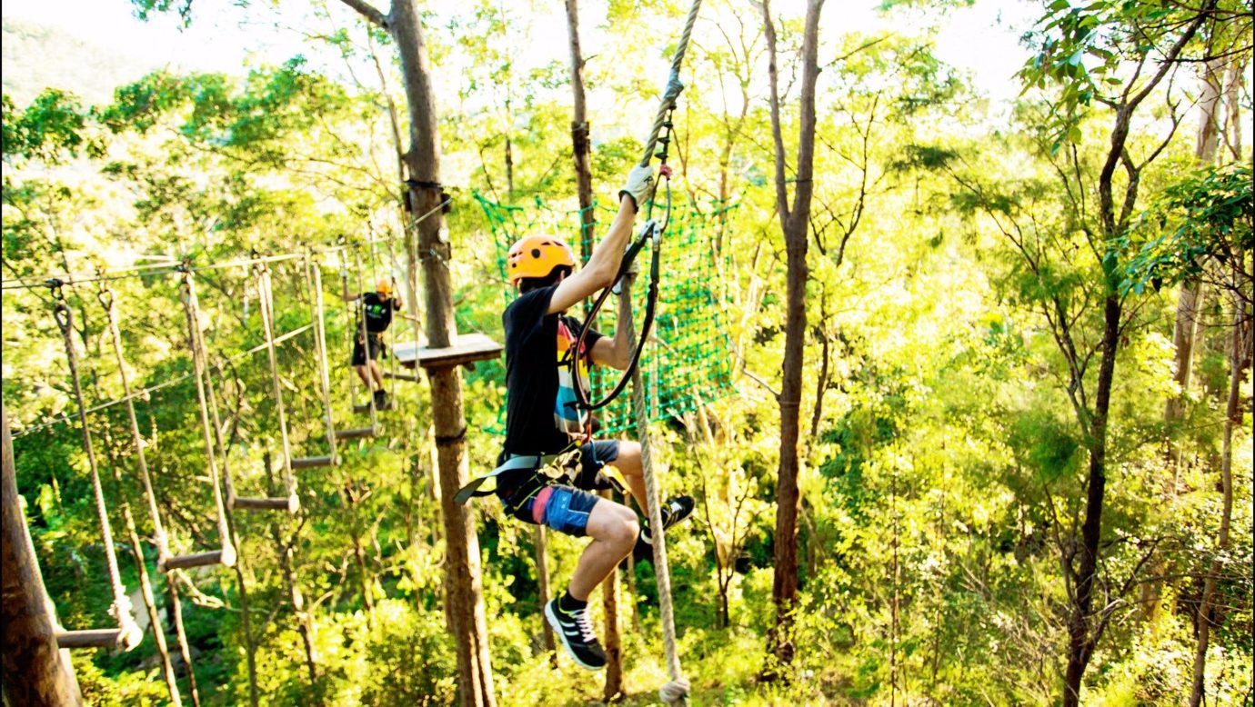 TreeTop Challenge Mt Tamborine Scenic Rim