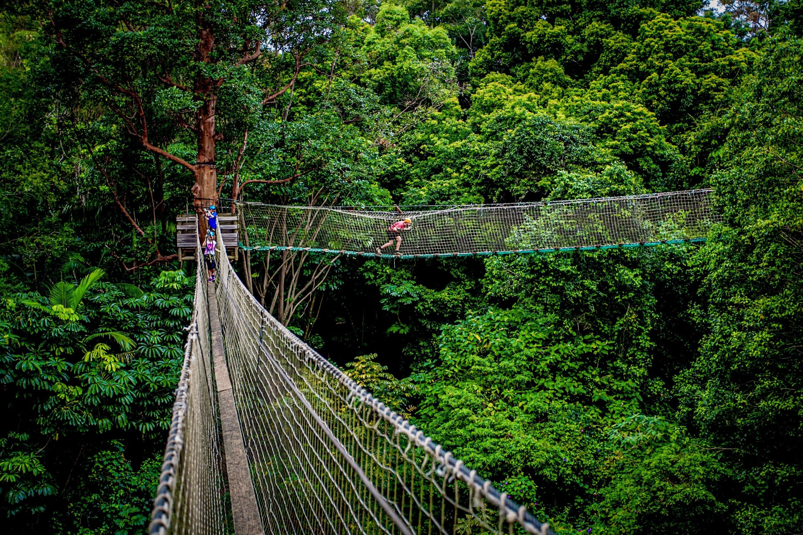 Thunderbird Park Tamborine Mountain, Gold Coast Region Scenic Rim