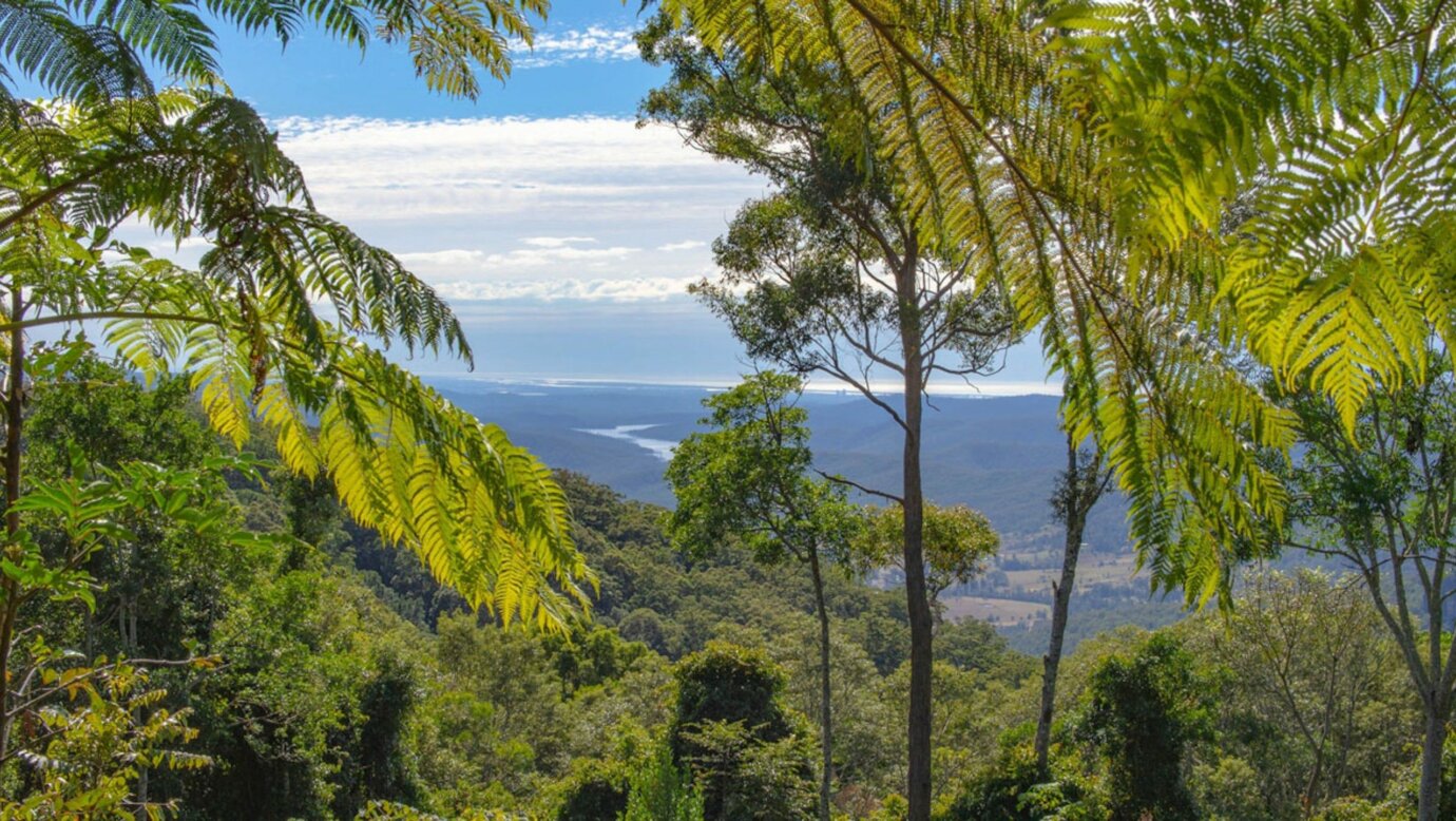 Binna Burra Safari Tent View