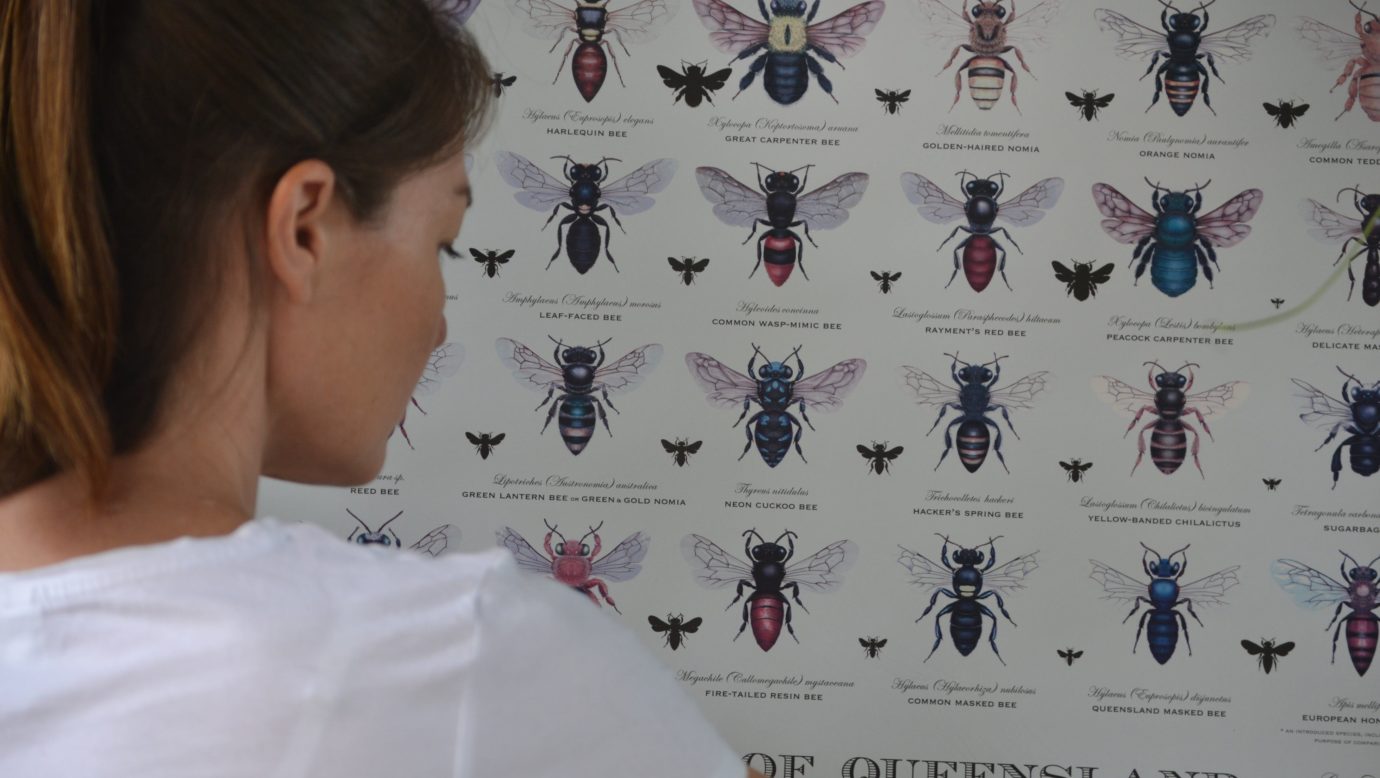 native bee poster. biological art