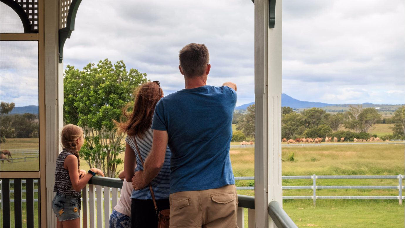 View of Summer Land Camel Farm from the cafe verandah