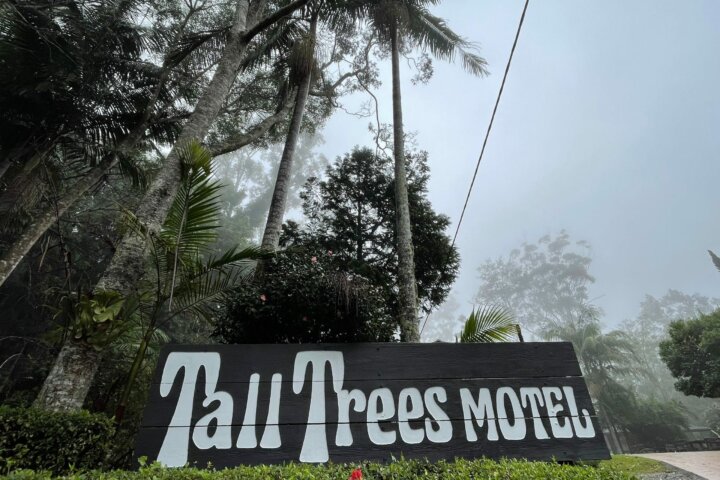 Tall Trees Motel in the clouds Queensland Gold Coast Hinterand