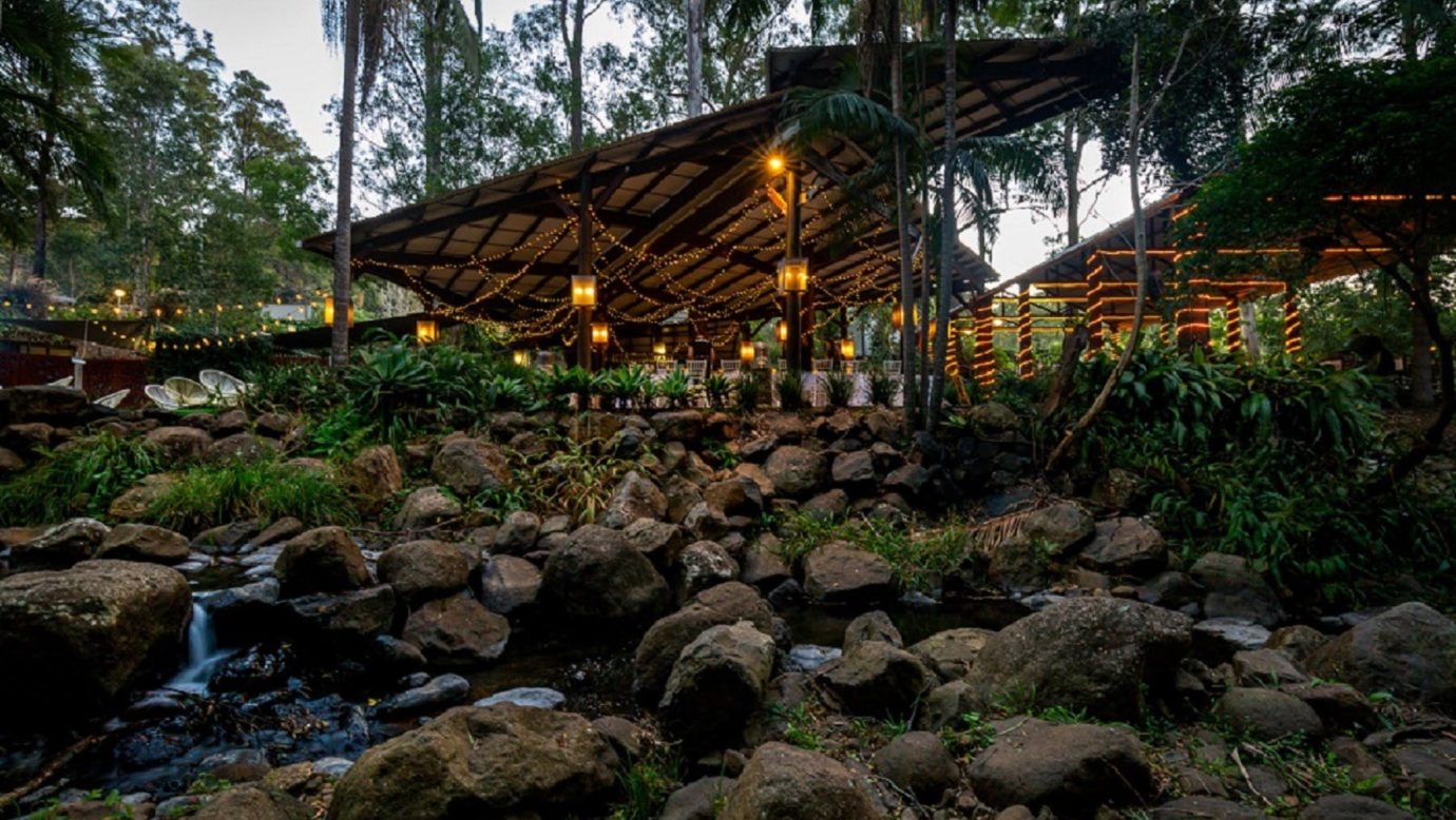 Island Glade - Rainforest Wedding