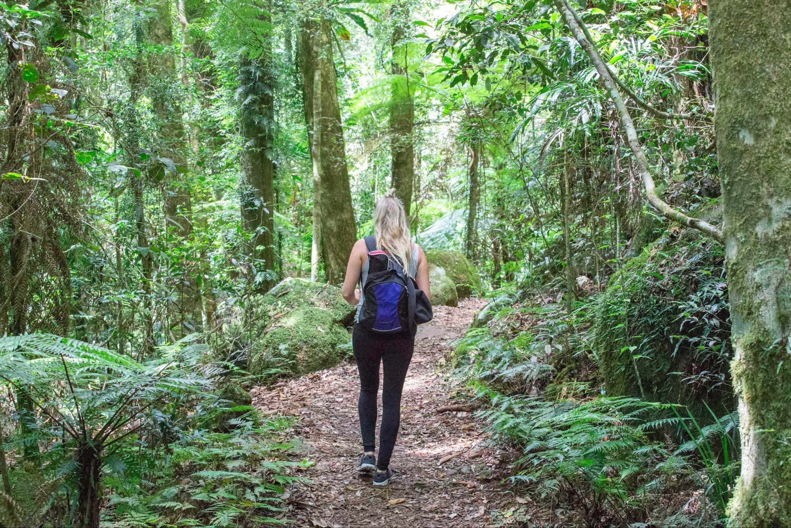 Hiking, Bushwalking