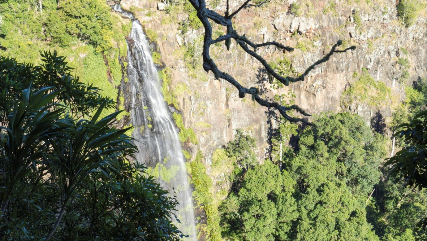 Waterfall, Green Mountains, Lamington National Park