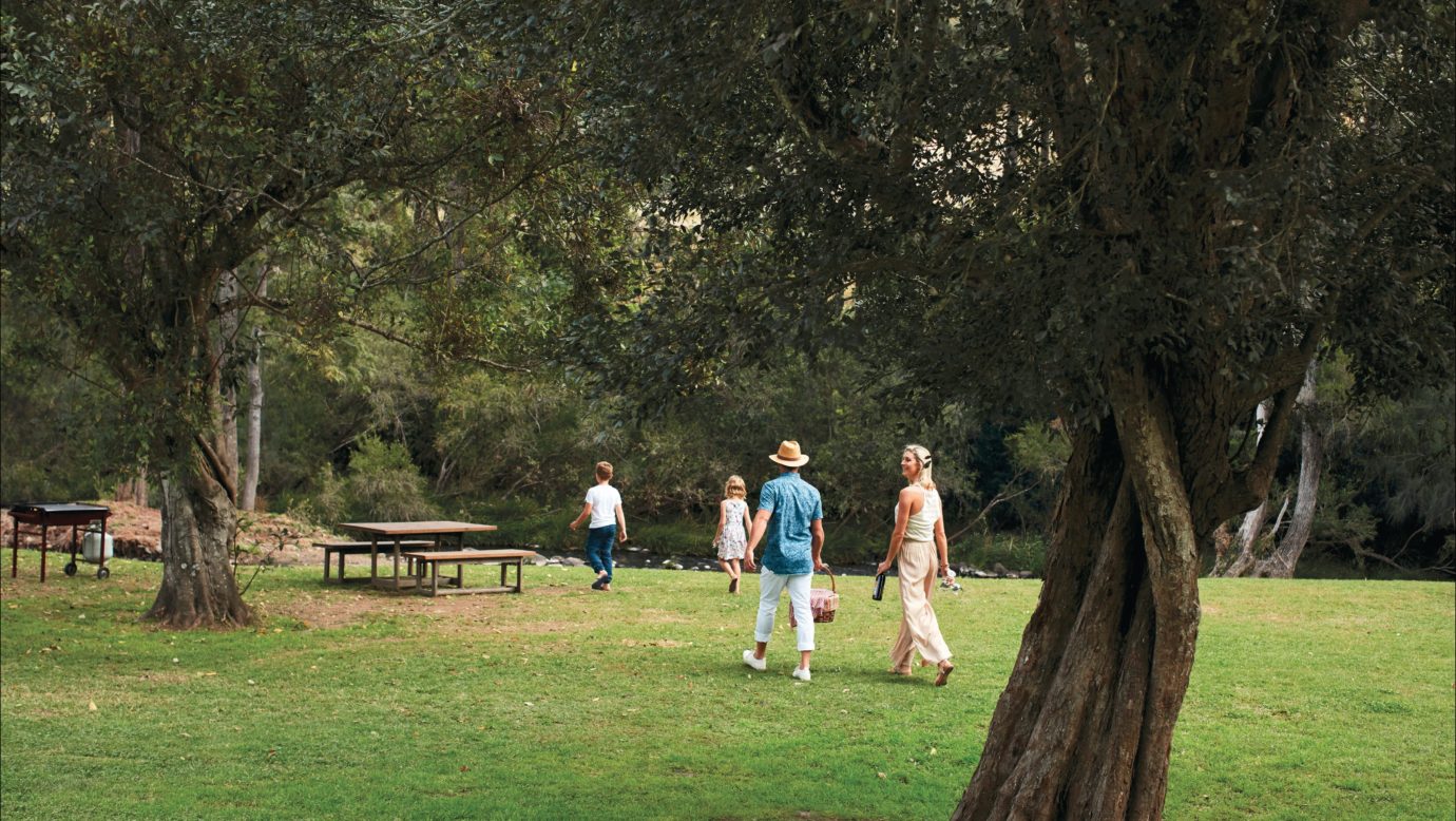 Picnic and play beside Canungra Creek