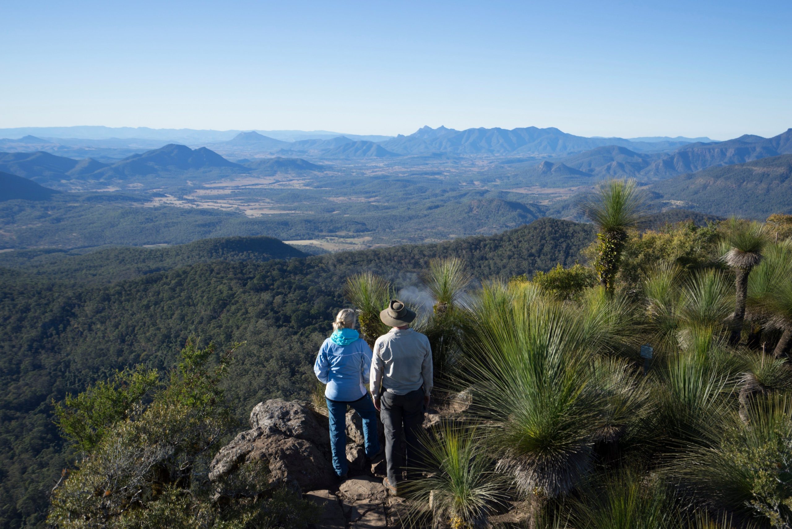 Scenic Rim Trail