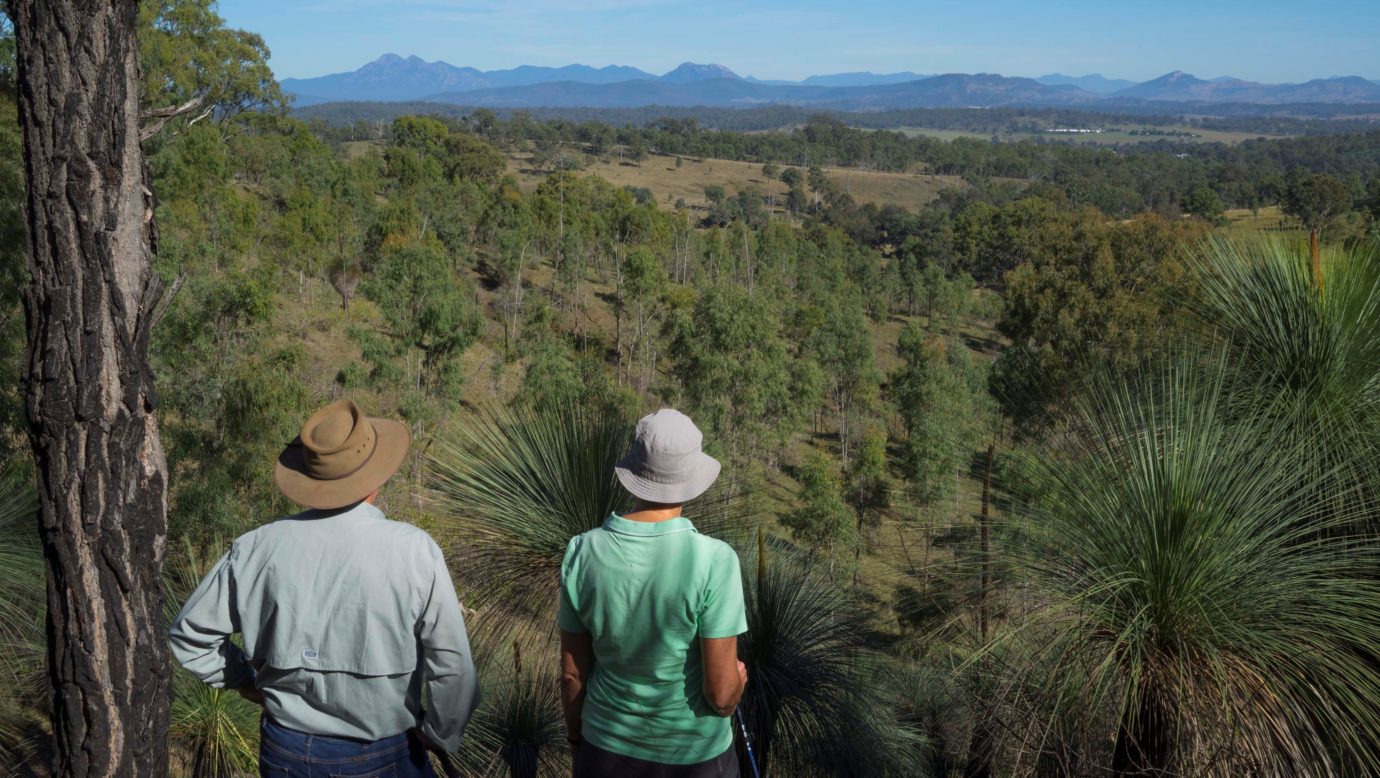 View from a walking track