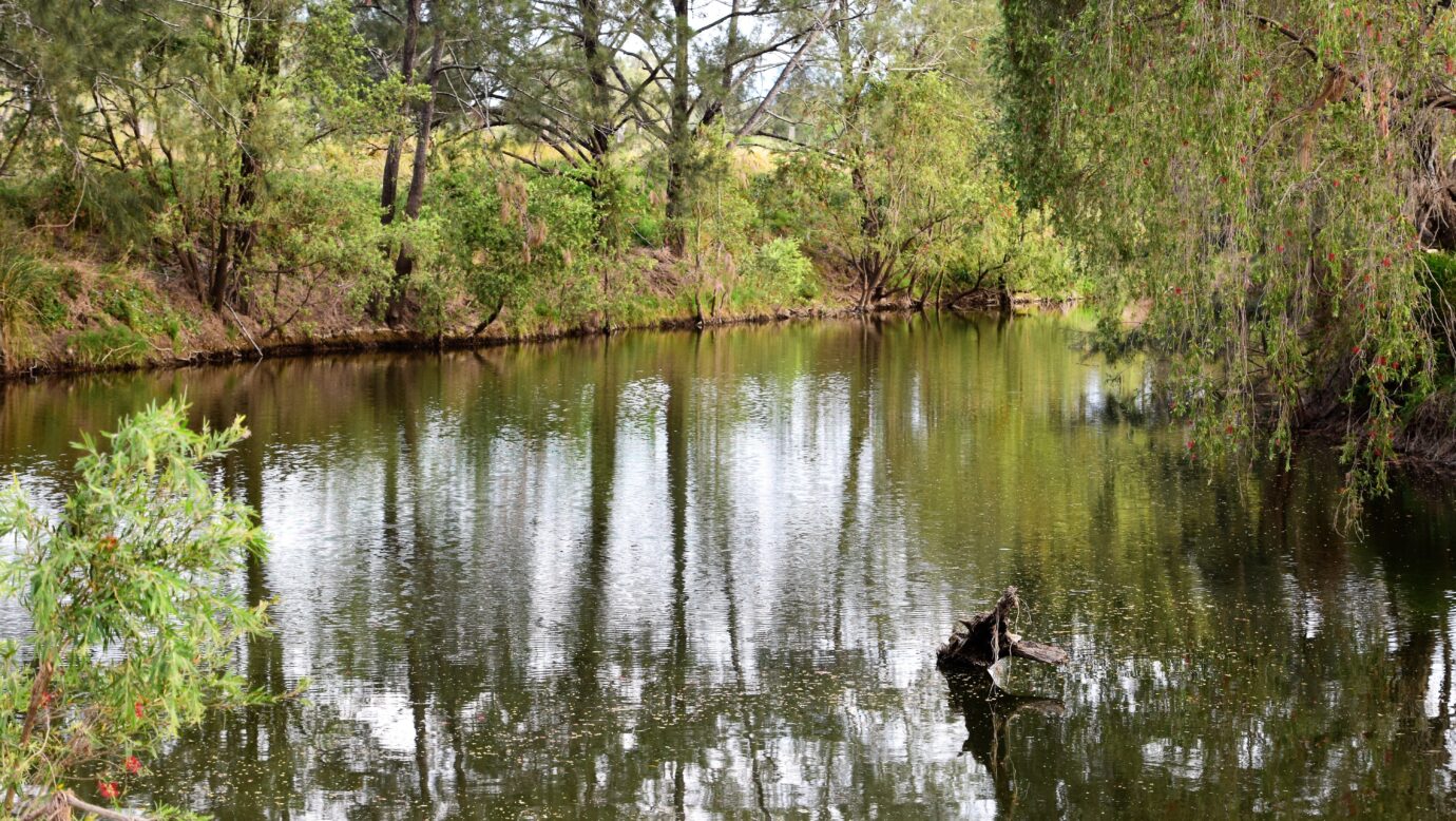 Picturesque Creeks at Mt Alford