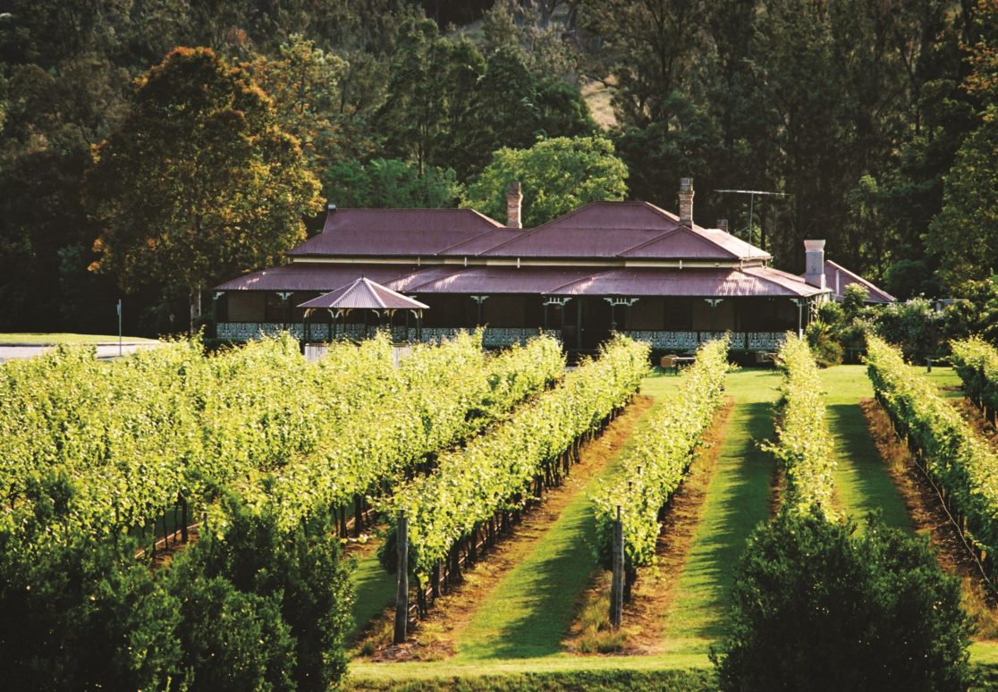 Canungra Valley Vineyard 