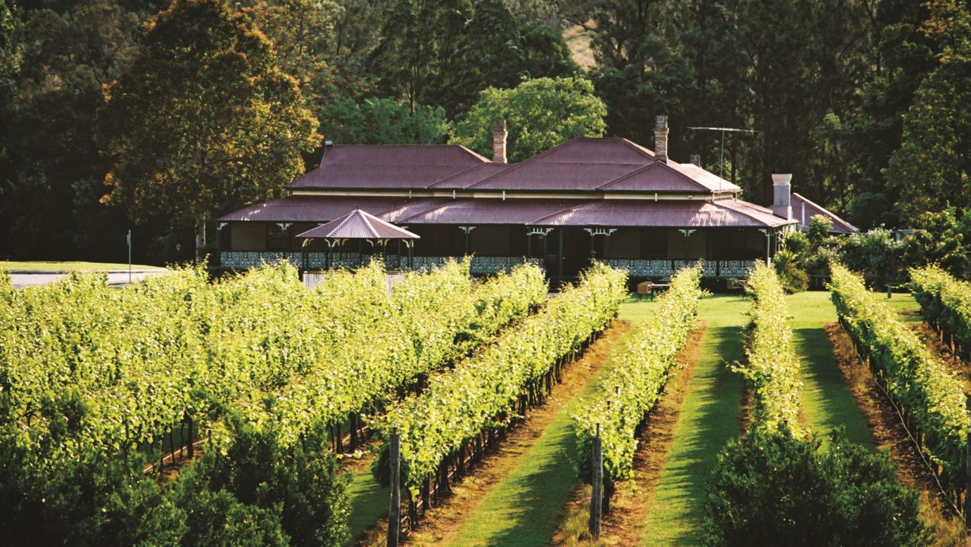 Canungra Valley Vineyard 