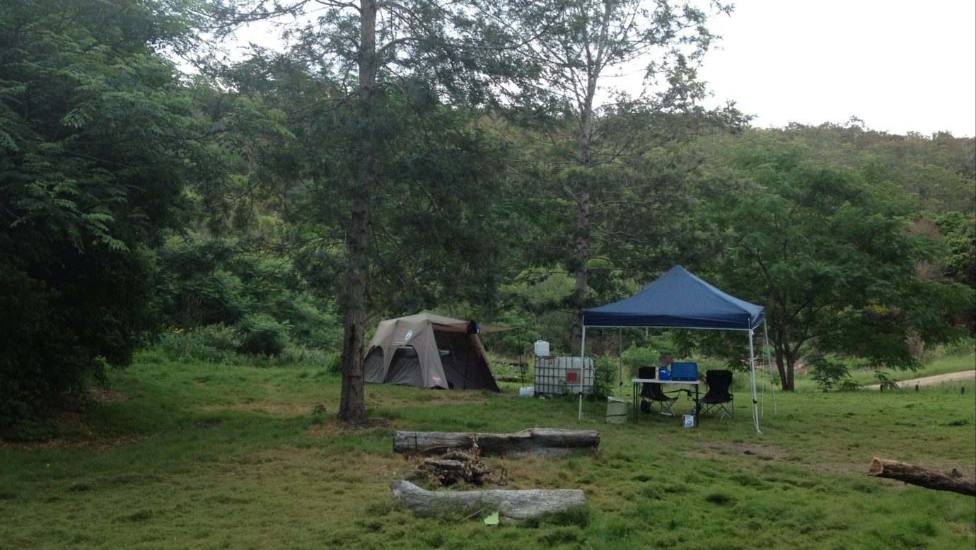 campsite 4