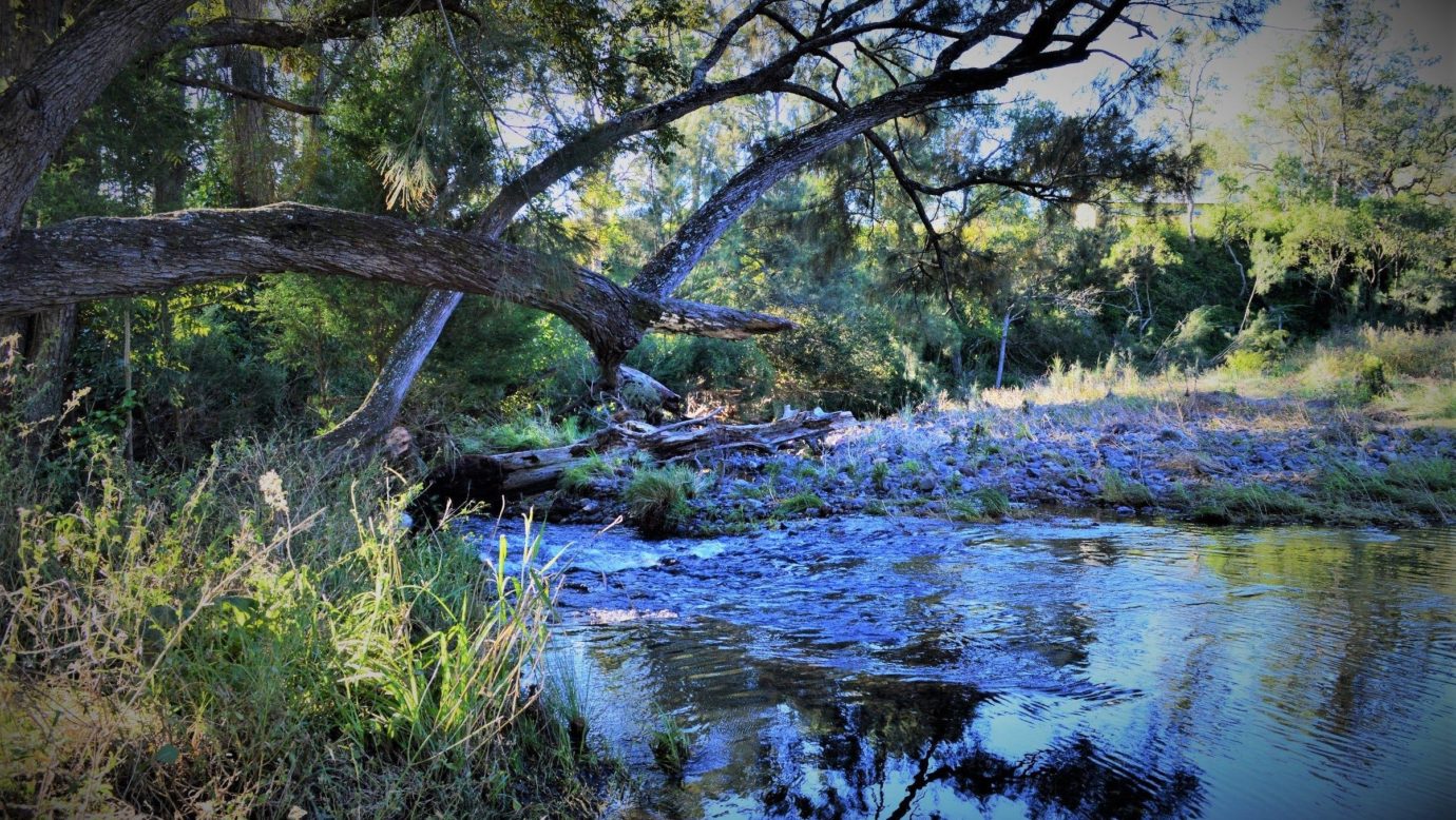 Albert River on Eighteen Mile Property