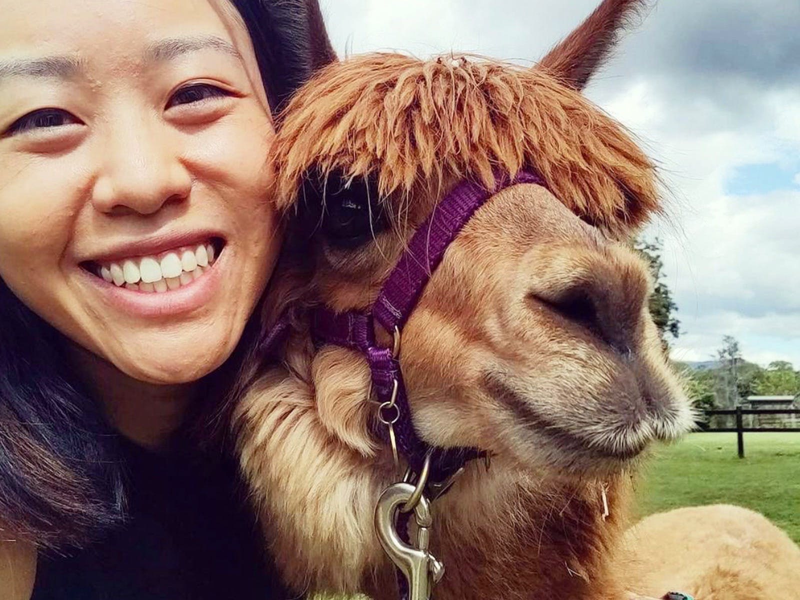Alpaca Selfie? Yes Please!