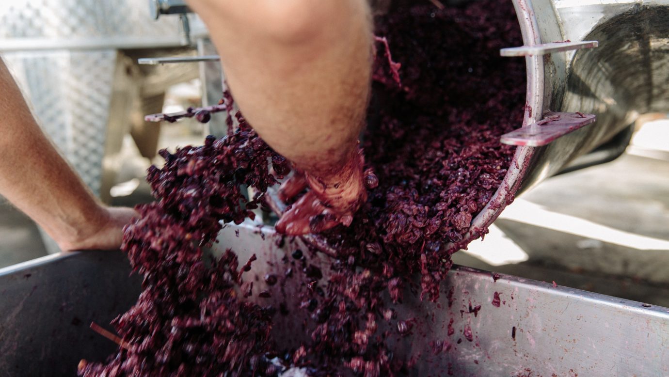 More Winemaking action at Witches Falls