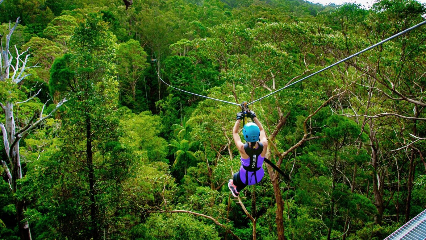 Zipline Tour