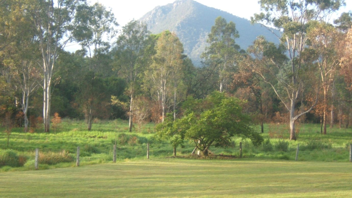 View to Mt Edwards from Motel Area