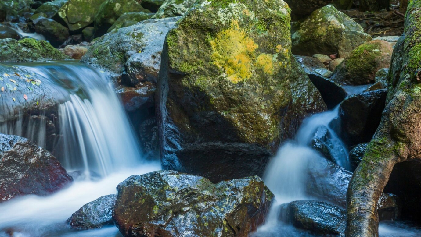 White water cascades over rocks into a rock pool.
