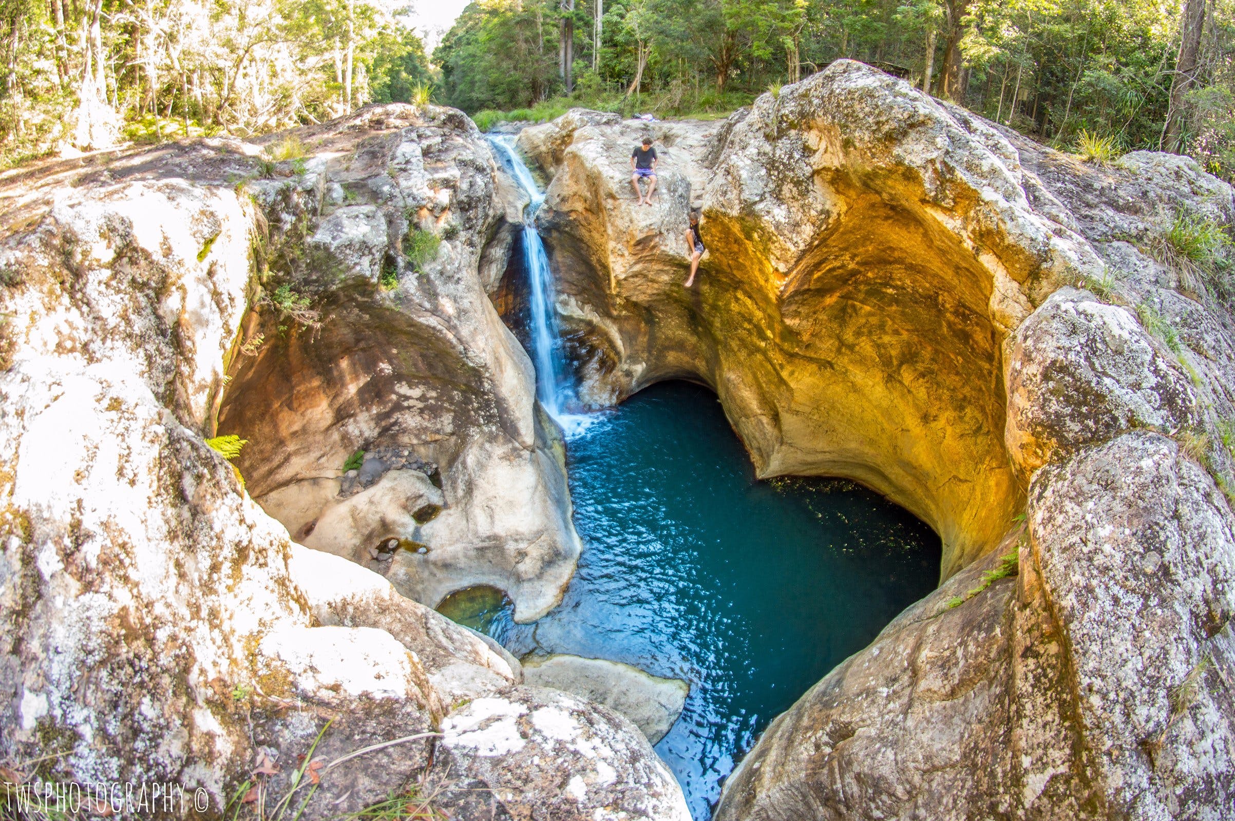Beechmont Scenic Rim