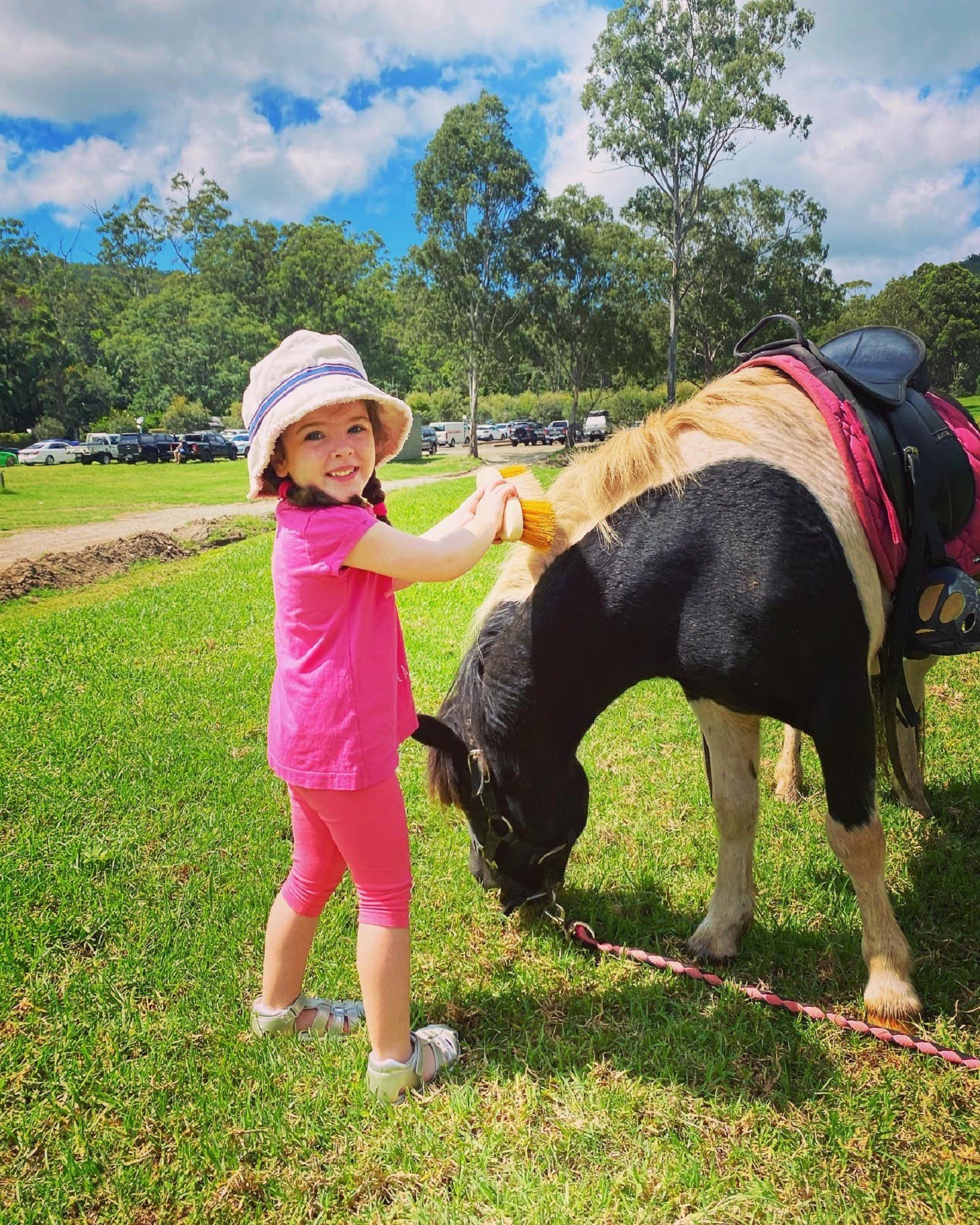 Pony Rides