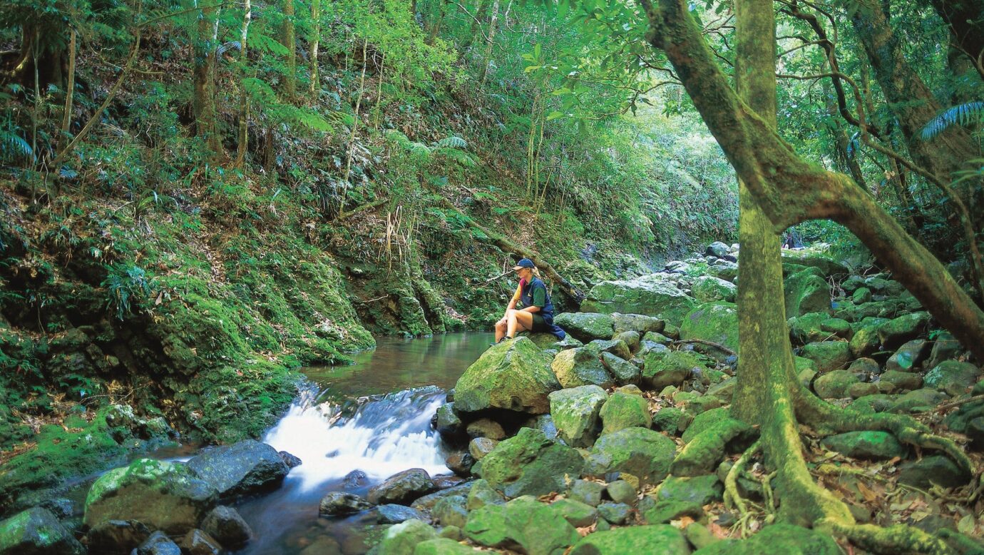 Girl sitting near creek surrounded by rainforest Lamington National Park