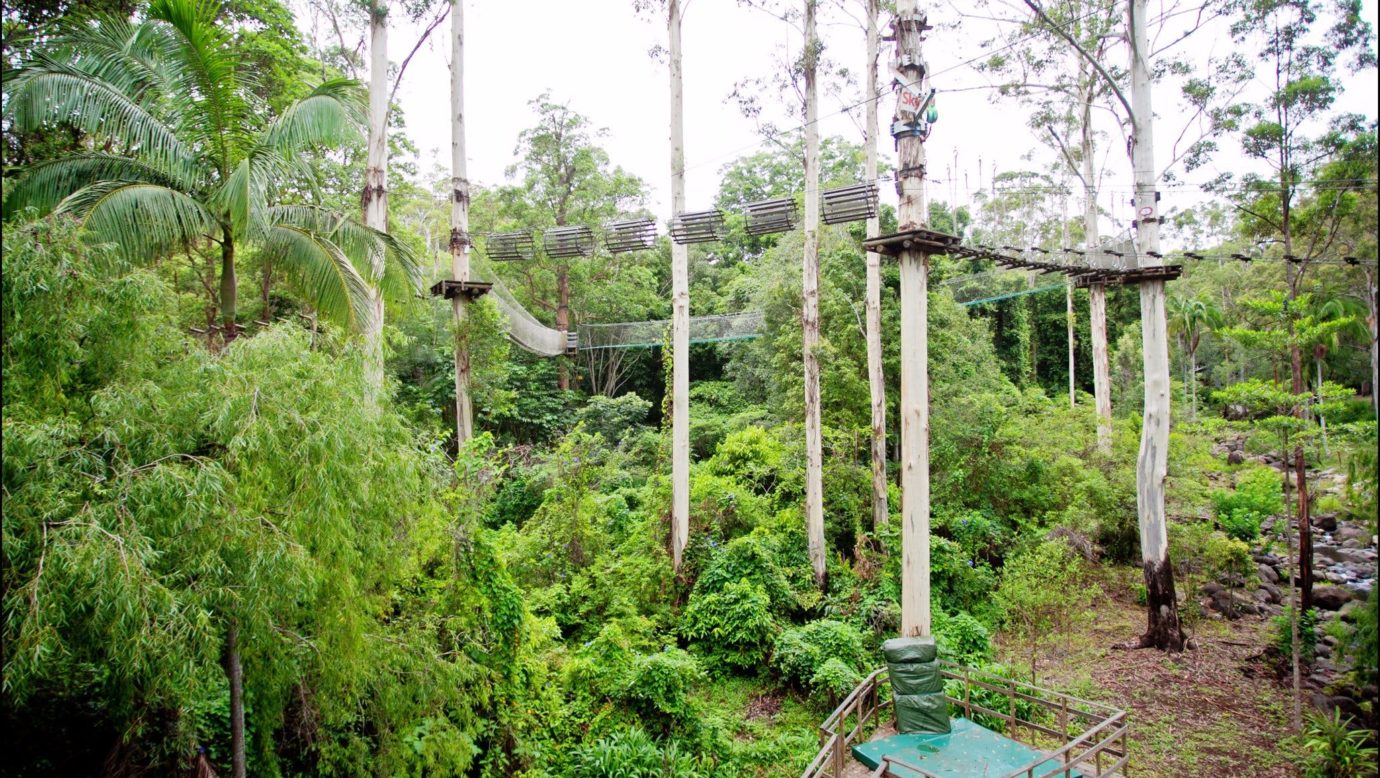 TreeTop Challenge Mt Tamborine Scenic Rim