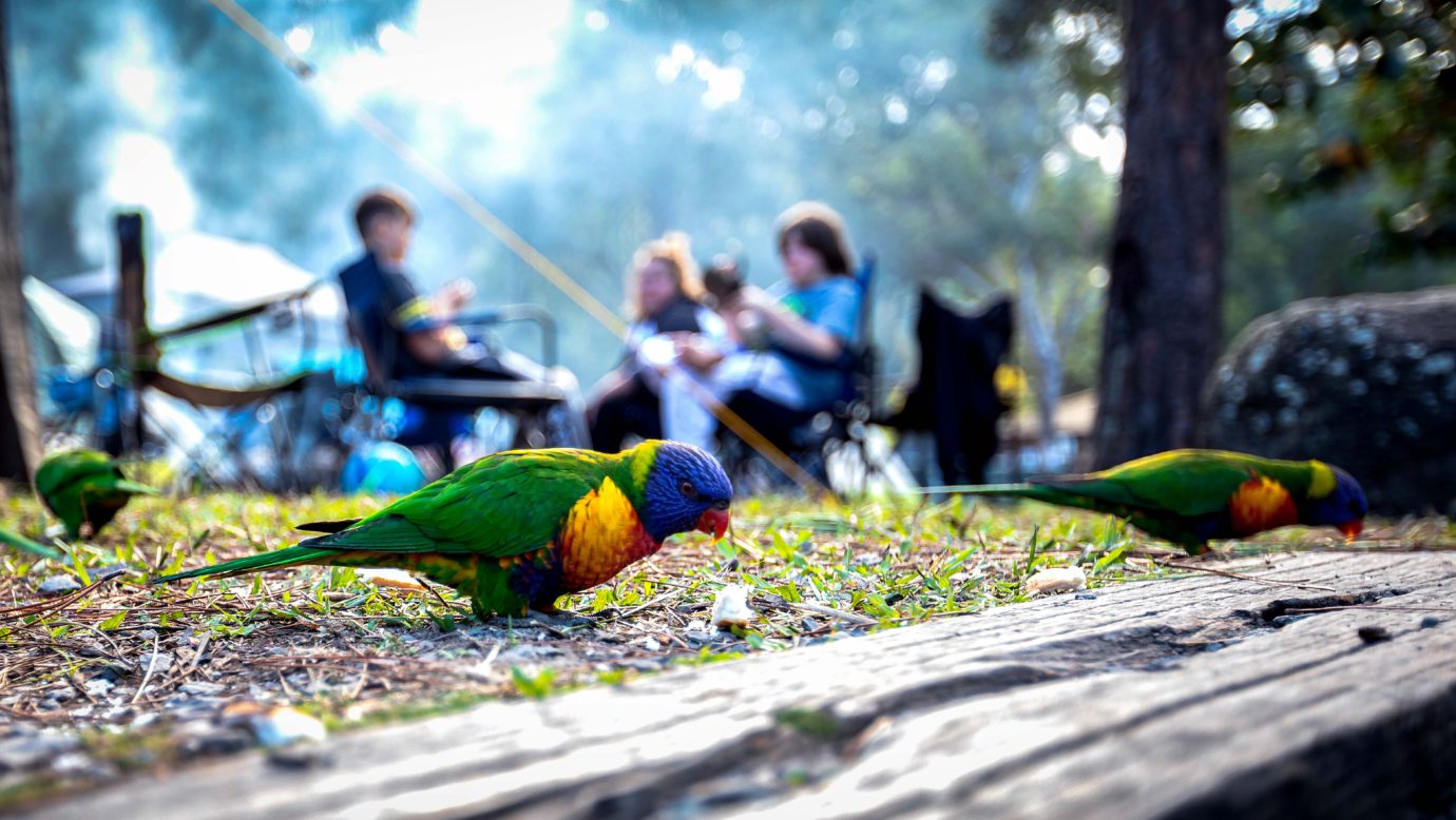 Campground - Thunderbird Park