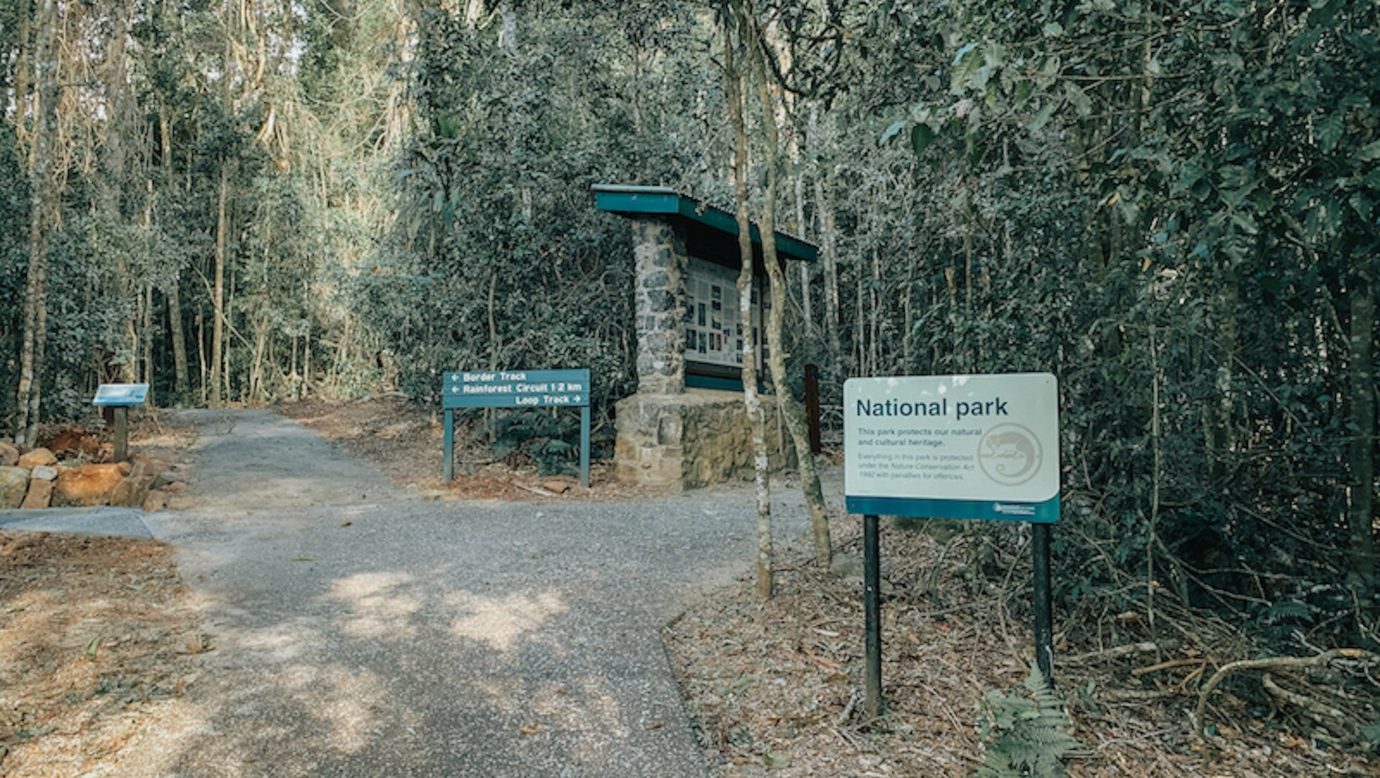 National Park access to Lamington at Binna Burra