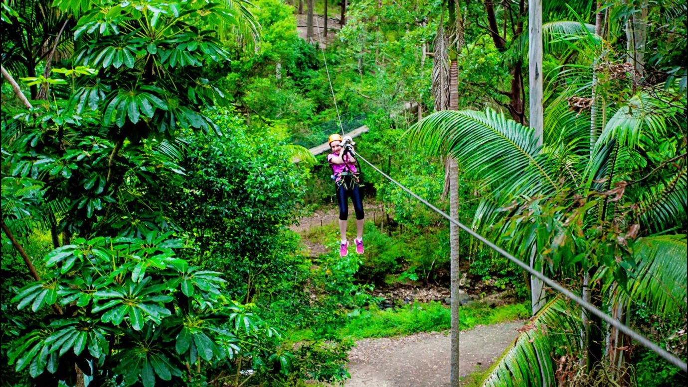 Amazing rainforest that you zipline in